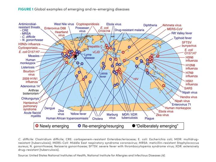 Nej, det er ikke kinesernes&nbsp;skyld