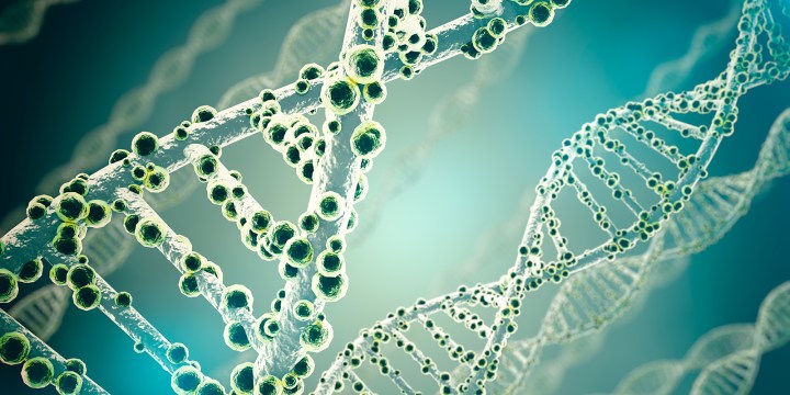 Nyt og stærkt redskab i kampen for at opspore&nbsp;coronavirus