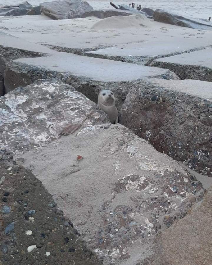 Når man pludselig sidder&nbsp;fast…