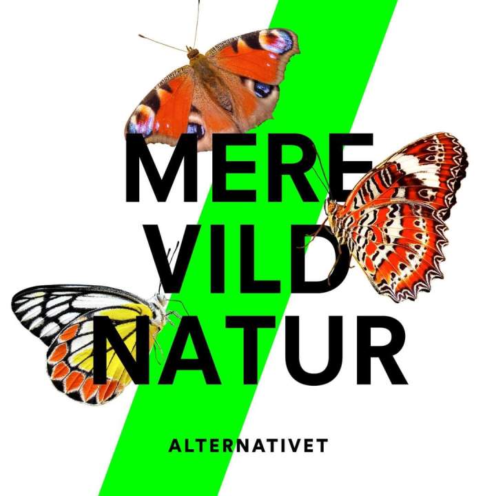 KAN DU MÆRKE NATUREN FRA DIT&nbsp;VINDUE?