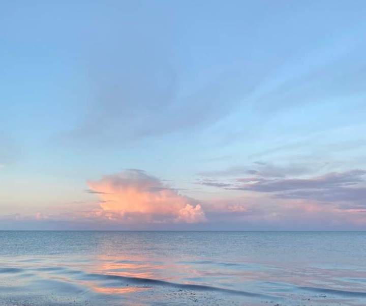 Det er også næsten komisk, hvis ikke det var så&nbsp;tragisk